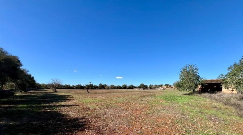 Illes Balears - Campos - 17810m2