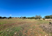 Terreno no urbanizable en venta en la España, Campos, ref: TR368458 foto
