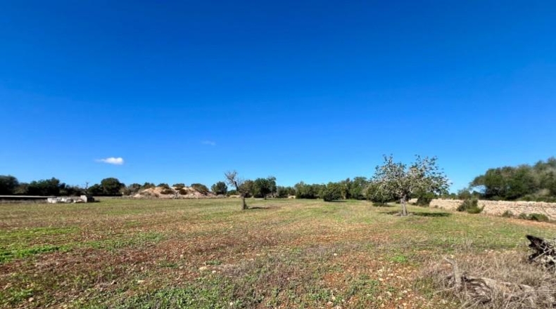 Illes Balears - Campos - 17810m2