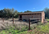 Terreno no urbanizable en venta en la España, Campos, ref: TR368458 foto