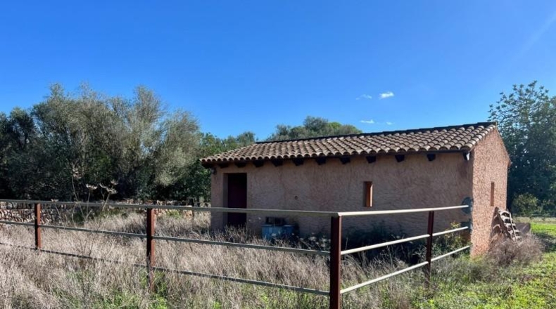 Illes Balears - Campos - 17810m2