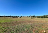 Terreno no urbanizable en venta en la España, Campos, ref: TR368458 foto
