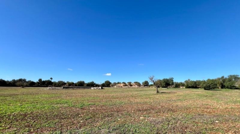 Illes Balears - Campos - 17810m2