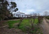 Finca rústica en venta en la España, Lérida, ref: TR399924 foto