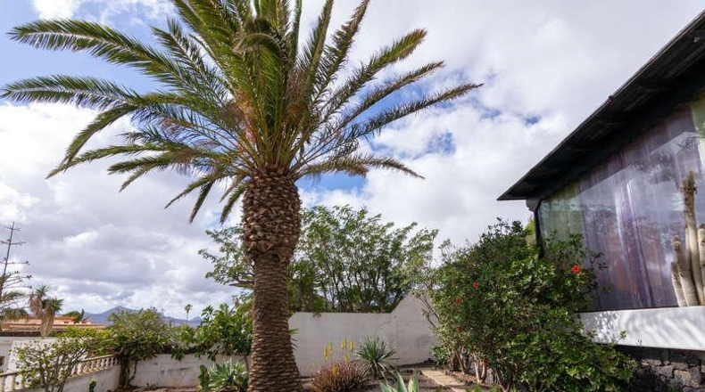 Las Palmas - Teguise - 1300m2