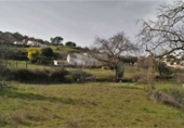 Non-developable land for sale on España, Cortegana, ref: TR143532 photo