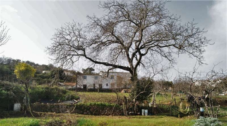 Huelva - Cortegana - 17724m2