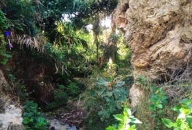 Foto 10