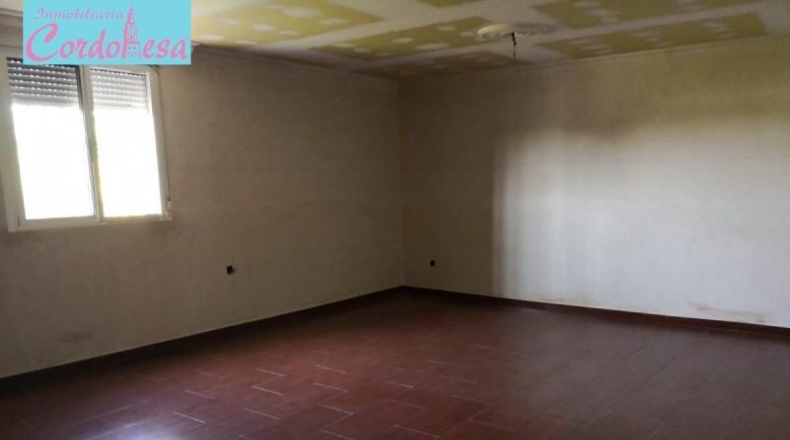 Córdoba - Córdoba - 1031m2