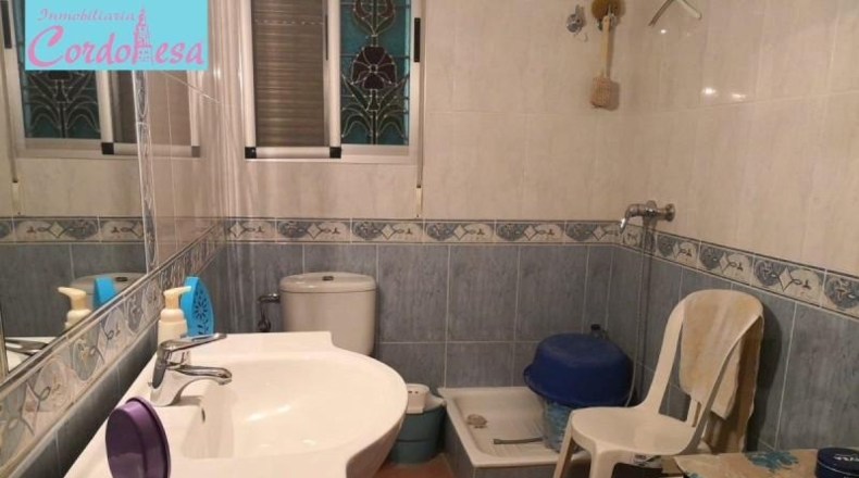 Córdoba - Córdoba - 1031m2