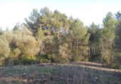 Casa de campo con terreno en venta en la España, Olivella, ref: TR134226 foto