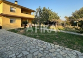 Detached villa with land for sale on España, Ontinyent, ref: TR388554 photo