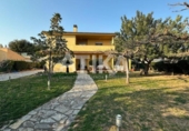 Detached villa with land for sale on España, Ontinyent, ref: TR388554 photo