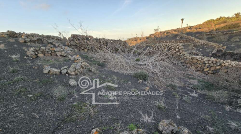 Las Palmas - Teguise - 5700m2