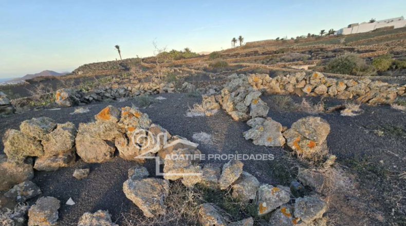Las Palmas - Teguise - 5700m2