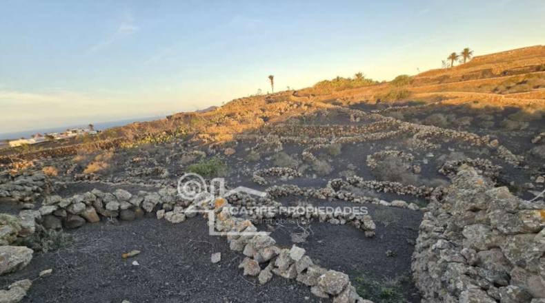 Las Palmas - Teguise - 5700m2