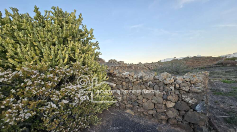 Las Palmas - Teguise - 5700m2