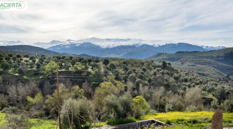 Granada - Granada - 2707m2