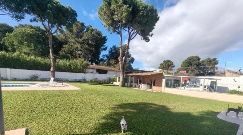 Cádiz - Chiclana de la Frontera - 2600m2