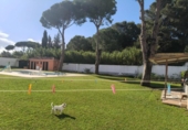Chalet independiente con terreno en venta en la España, Chiclana de la Frontera, ref: TR405655 foto