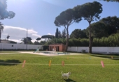 Chalet independiente con terreno en venta en la España, Chiclana de la Frontera, ref: TR405655 foto
