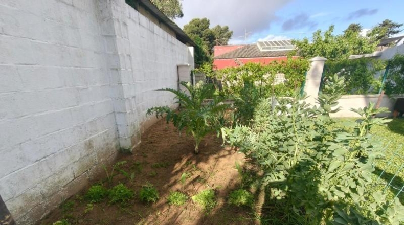 Cádiz - Chiclana de la Frontera - 2600m2