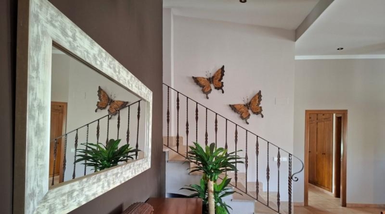 Valencia - Oliva - 1350m2