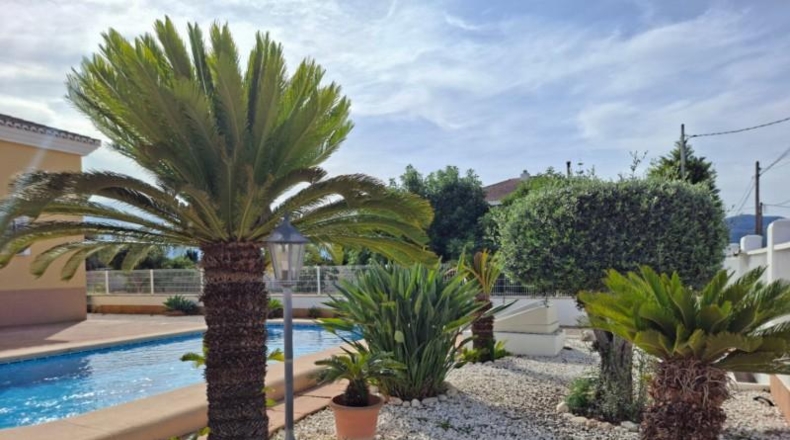 Valencia - Oliva - 1350m2