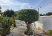 Chalet independiente con terreno en venta en la España, Oliva, ref: TR408812 foto