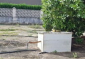 Chalet independiente con terreno en venta en la España, Oliva, ref: TR408812 foto