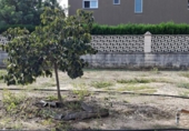 Chalet independiente con terreno en venta en la España, Oliva, ref: TR408812 foto