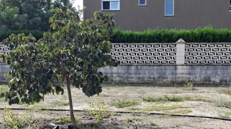 Valencia - Oliva - 1350m2