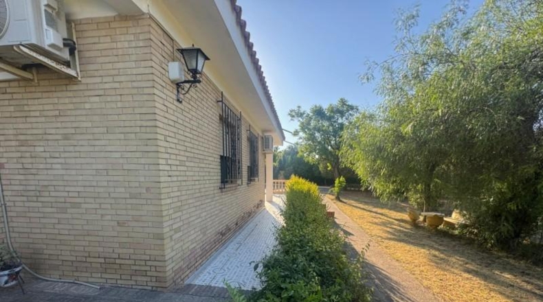 Sevilla - Palomares del Río - 4024m2