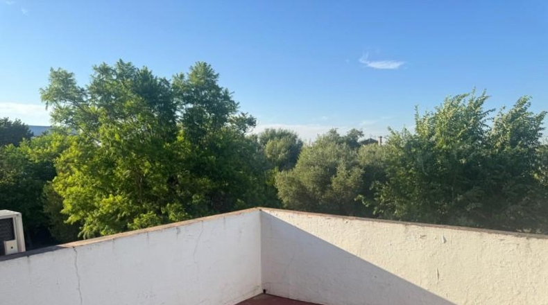 Sevilla - Palomares del Río - 4024m2