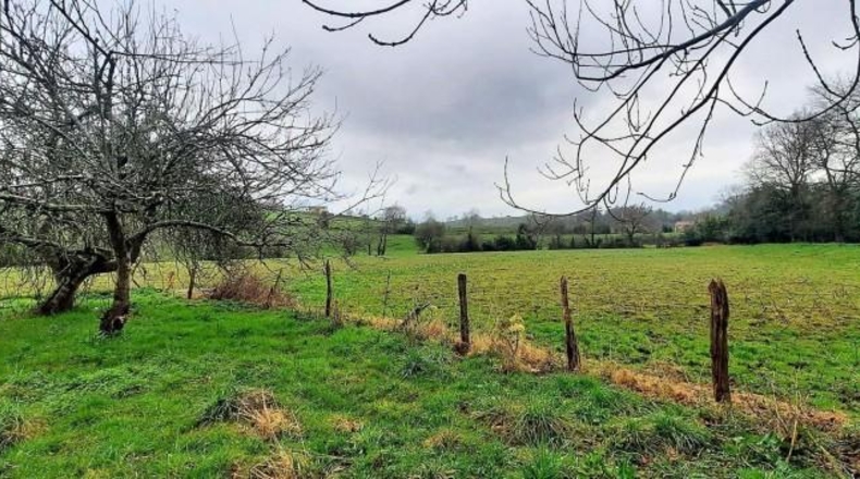 Cantabria - Barrio El Cerro - 101011m2