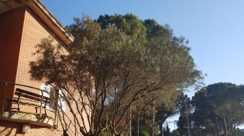 Barcelona - Begues - 1411m2