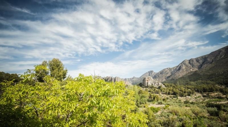 Аликанте - Guadalest - 7500m2