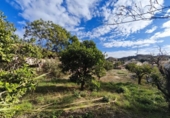 Chalet independiente con terreno en venta en la España, Busot, ref: TR374925 foto