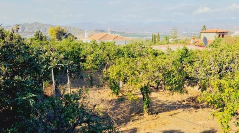 Málaga - Alhaurín de la Torre - 1270m2