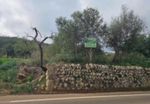 Terreno no urbanizable en venta en la España, Santa Eugènia, ref: TR366479 foto
