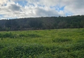 Terreno no urbanizable en venta en la España, Santa Eugènia, ref: TR366479 foto