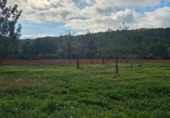 Terreno no urbanizable en venta en la España, Santa Eugènia, ref: TR366479 foto