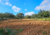 Terreno no urbanizable en venta en la España, Santa Eugènia, ref: TR366479 foto