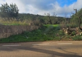 Terreno no urbanizable en venta en la España, Santa Eugènia, ref: TR366479 foto