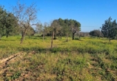 Terreno no urbanizable en venta en la España, Santa Eugènia, ref: TR366479 foto