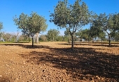 Terreno no urbanizable en venta en la España, Santa Eugènia, ref: TR366479 foto