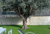 Chalet independiente con terreno en venta en la España, Benicasim, ref: TR368599 foto