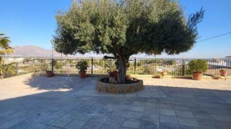 Alicante - Bigastro - 2500m2
