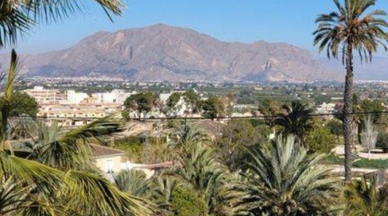 Alicante - Bigastro - 2500m2