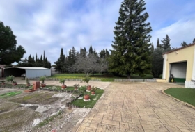 Foto 14